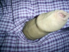 szukam szukam