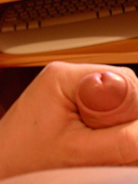 przyjaciel - pies na baby