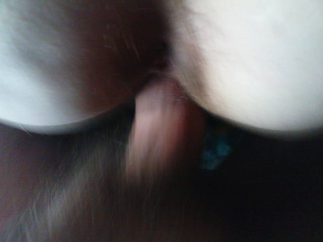 DSC00241.JPG - tenzi