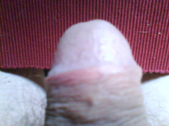 Mein Schwanz 09 - elt51