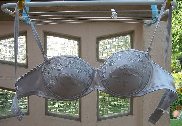 Veras BH - DieNylons