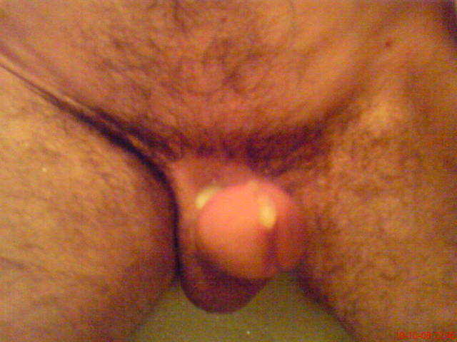 DSC01408.JPG - pipkin