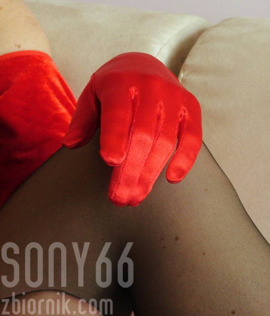 Rękawiczka.... - SONY66