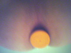 52004_203.jpg