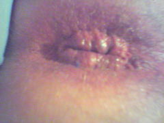 52004_206.jpg