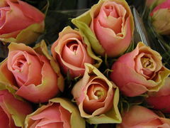DSC01569.JPG