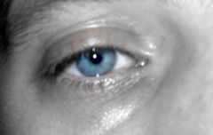 Czy te oczy moga klamac??