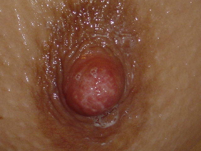 wkrótce nowe zdjęcia - dużo - kami77