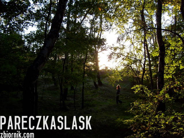 tajemicza - pareczkaslask