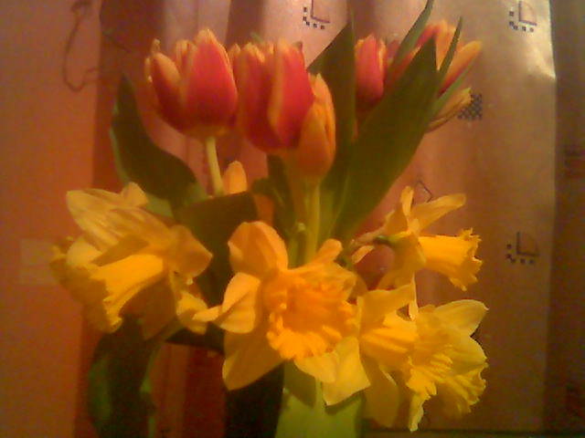 kwiaty dla Moni :) - madzia90