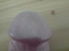 DSC00137.jpg