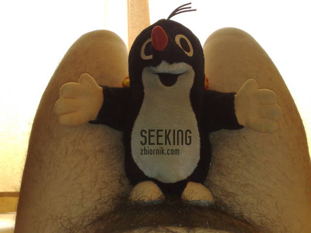 seeking
