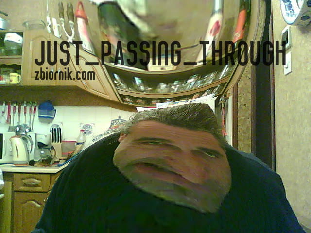 toja - just_passing_through