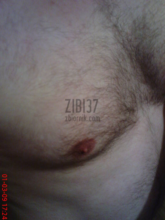 zibi37