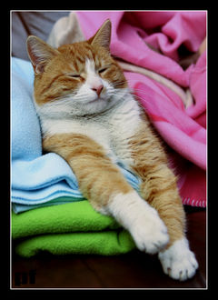 SYTUACJA KONTROLOWANA