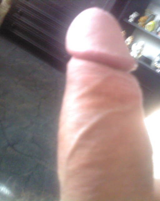 dam polizac - karinio