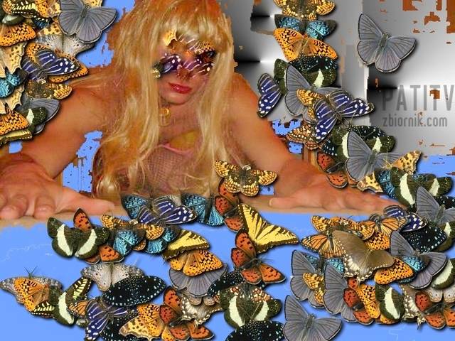 SDC10723.JPG - patitv