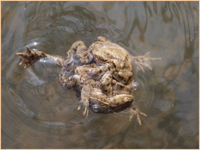 sobotnie zabawy - haubi