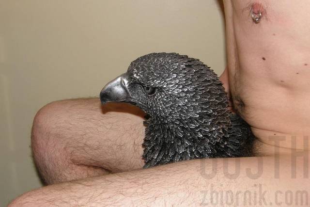 gdzie to gniazdo .JPG - gosth