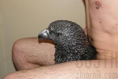 gdzie to gniazdo .JPG