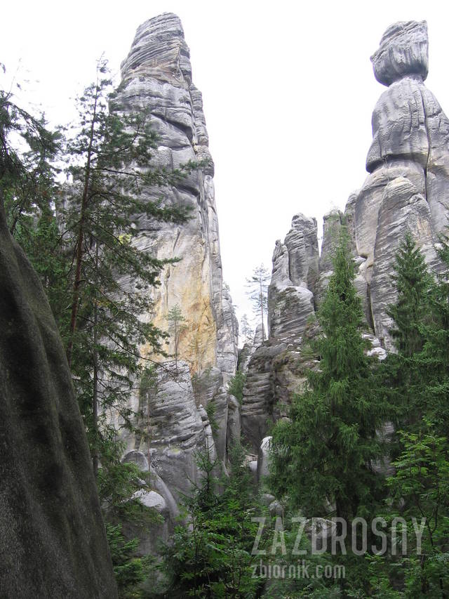zazdrosny