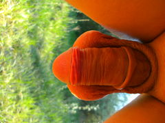 cock 1 121.jpg