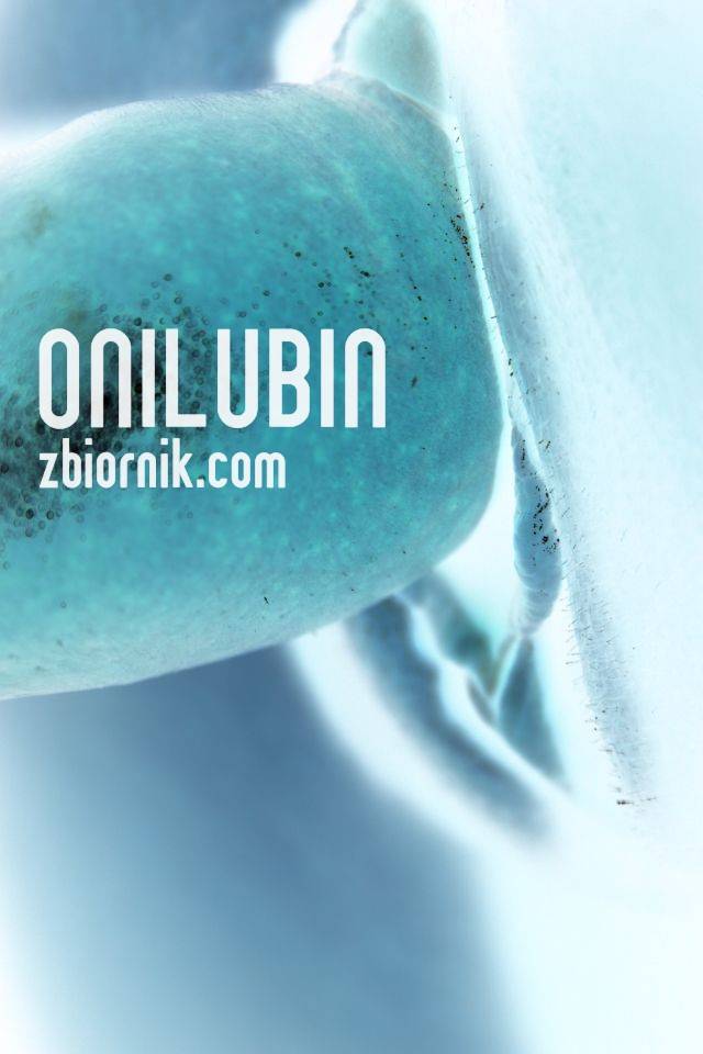Onilubin