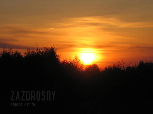 IMG_0182.JPG - zazdrosny