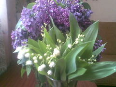 majowi ulubieńcy :)