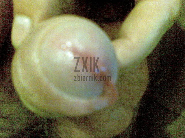 zxik