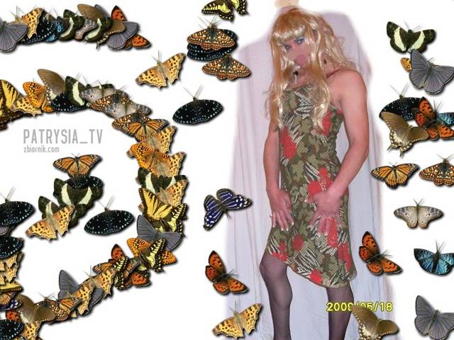 SDC11147.JPG - patrysia_tv