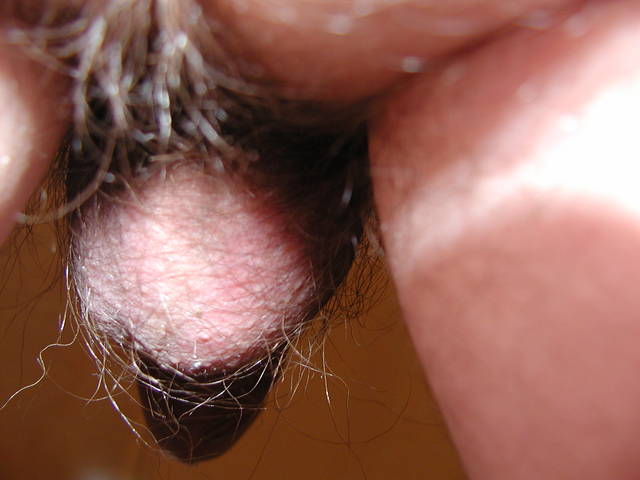 jajeczko od tylca - onan_real