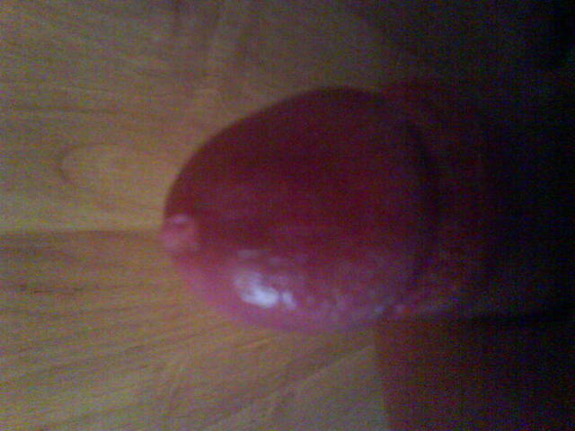 DSC00184.JPG - wiktoro