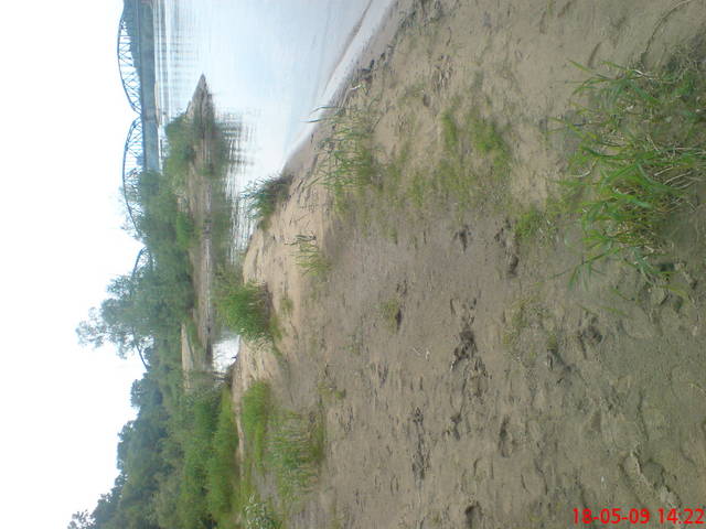 plaża nudystów w Bydgoszczy - jarecki1