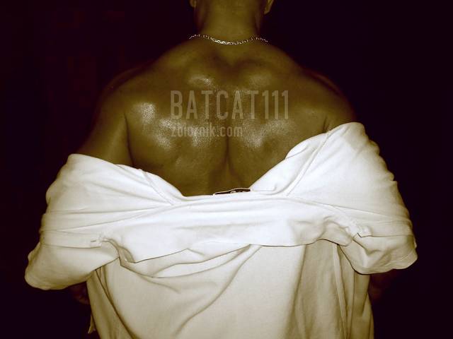 brzydsza połówka - batcat111