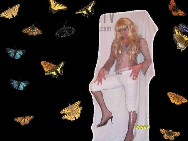 SDC11186.JPG - patitv