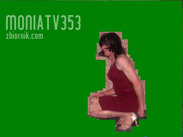 HPIM1022.JPG - Moniatv353