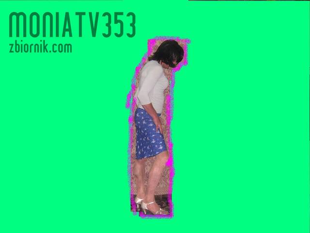 HPIM1027.JPG - Moniatv353