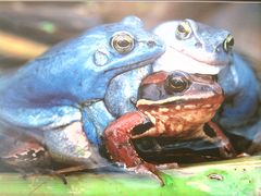 Dwoch na jedna??To lubie:-)