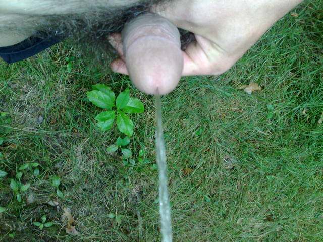 vvvvvvv 001.jpg - Thomas2000x