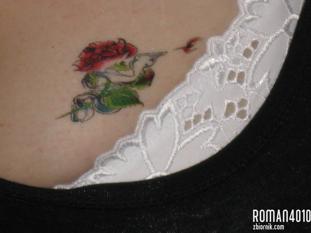 Obraz 001.jpg - roman4010