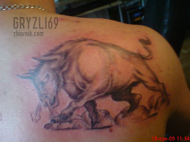 Świerzo udziergane - gryzli69