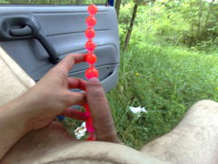 las i pupa 1