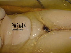 moja ukochana 019.JPG