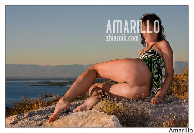 Wylegujący się kociak - Amarillo