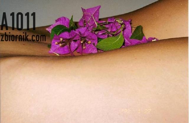 kwiaty.JPG - a1011