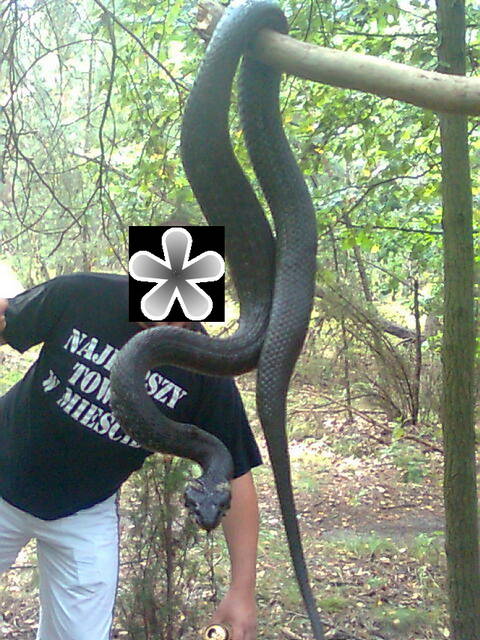 leśny gość 1 :) - madzia90