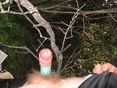 IMG_2875.JPG
