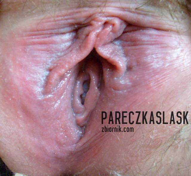 w całej okazałości - pareczkaslask