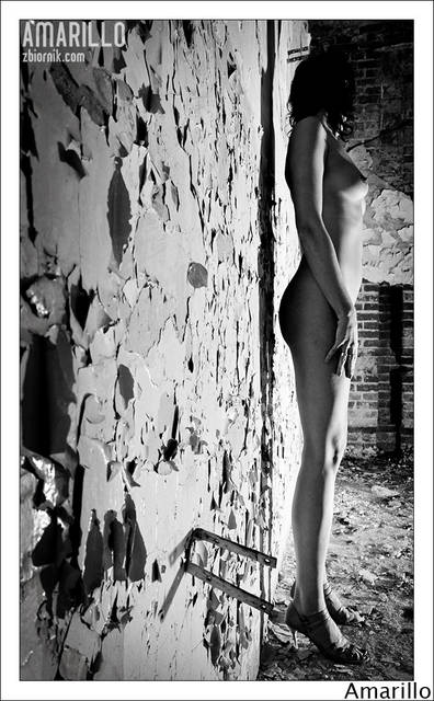 Zagubiona - Amarillo